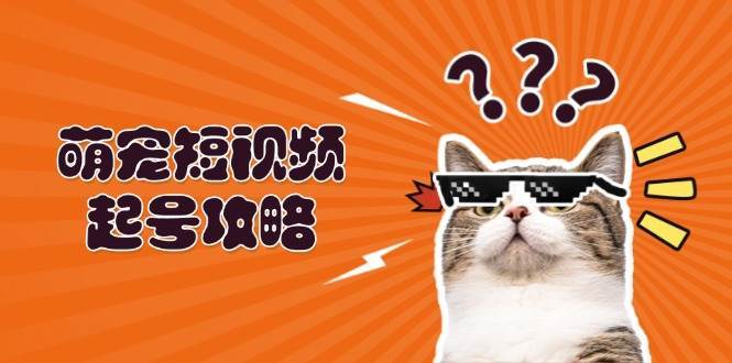 萌宠短视频起号攻略：定位搭建推流全解析，助力新手轻松打造爆款-三石淘金网