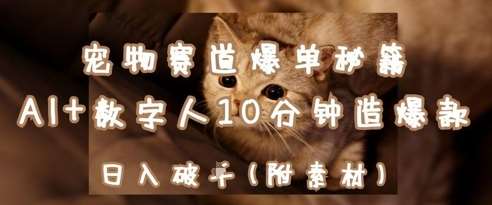 宠物赛道爆单秘籍：AI+数字人10分钟造爆款，日入1k-三石资源库