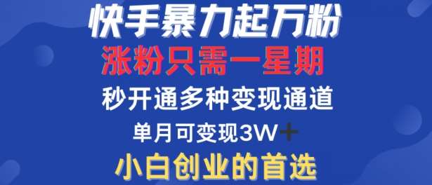 快手暴力起万粉，涨粉只需一星期，多种变现模式，直接秒开万合，单月变现过W【揭秘】-三石资源库