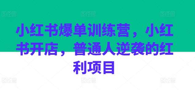 小红书爆单训练营，小红书开店，普通人逆袭的红利项目-三石淘金网
