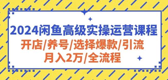 2024闲鱼高级实操运营课程：开店/养号/选择爆款/引流/月入2万/全流程-三石淘金网
