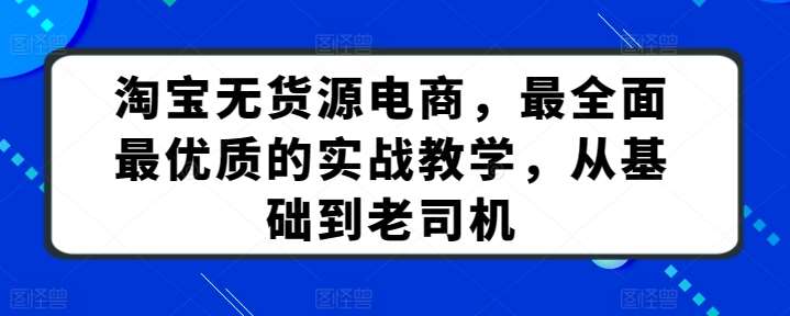 淘宝无货源电商，最全面最优质的实战教学，从基础到老司机-三石淘金网