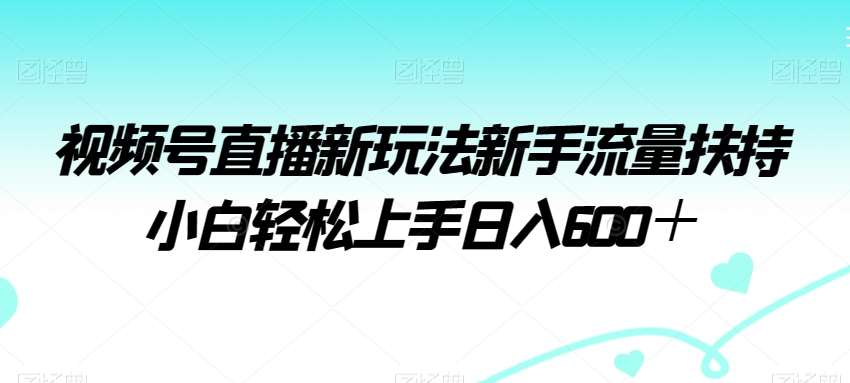视频号直播新玩法新手流量扶持小白轻松上手日入600＋【揭秘】-三石资源库