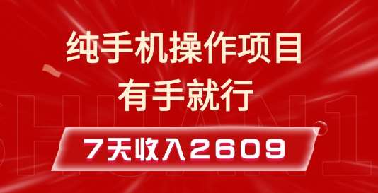 纯手机操作的小项目，有手就能做，7天收入2609+实操教程【揭秘】-三石资源库