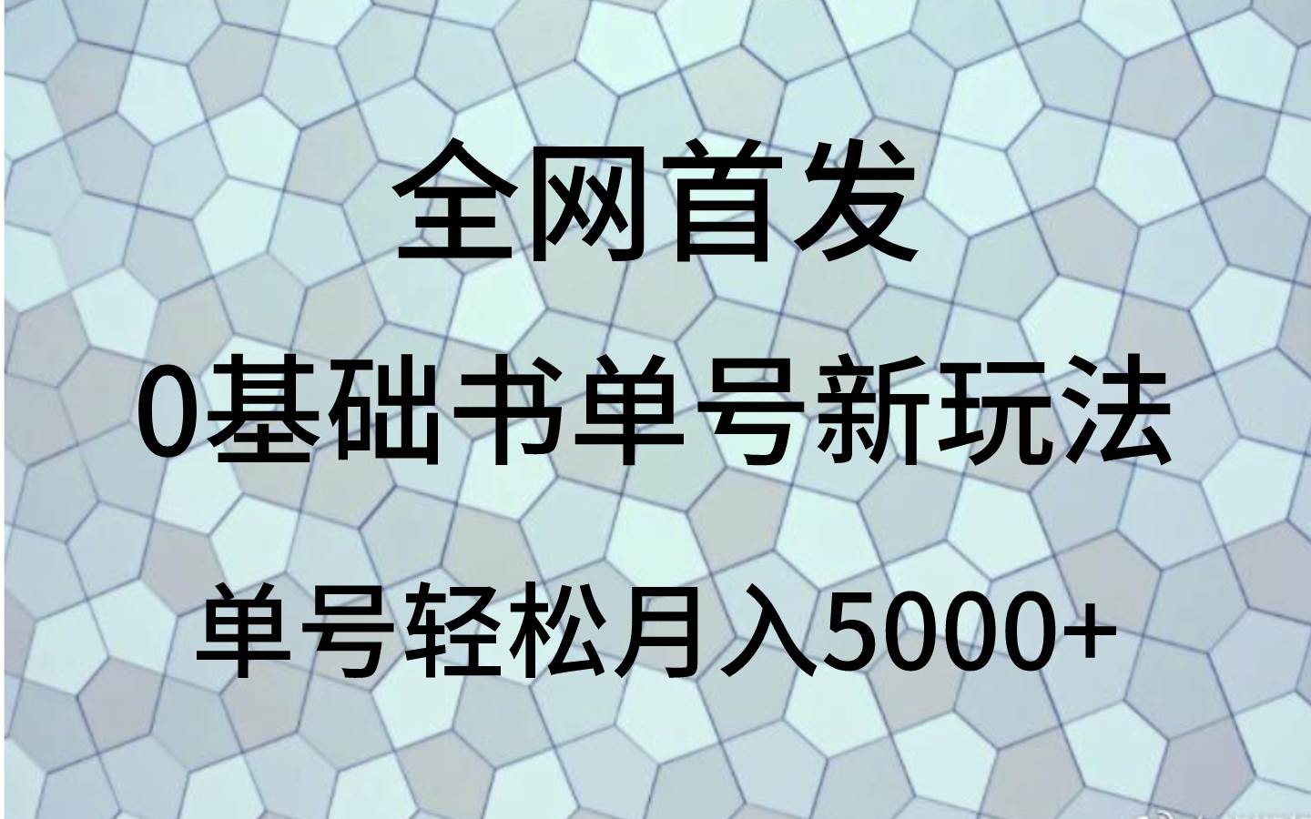 0基础书单号新玩法，操作简单，单号轻松月入5000+-三石资源库