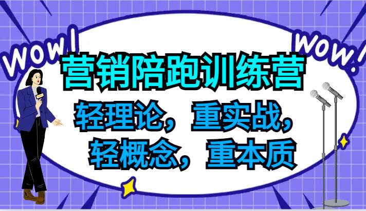 营销陪跑训练营，轻理论，重实战，轻概念，重本质，适合中小企业和初创企业的老板-三石资源库