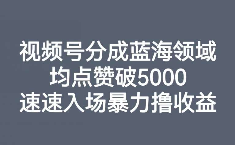 视频号分成蓝海领域，均点赞破5000，速速入场暴力撸收益-三石资源库