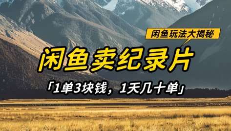 闲鱼卖纪录片1单3块钱，1天几十单，项目稳定有潜力-三石资源库