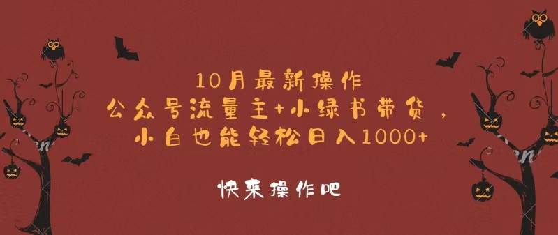（12977期）10月最新操作，公众号流量主+小绿书带货，小白轻松日入1000+-三石资源库