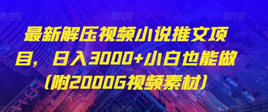 最新解压视频小说推文项目，日入3000+小白也能做（附2000G视频素材）【揭秘】-三石资源库