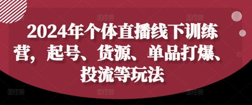 2024年个体直播训练营,起号、货源、单品打爆、投流等玩法-三石资源库