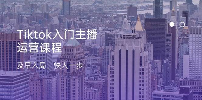 Tiktok入门主播运营课程，及早入局，快人一步（11节）-三石淘金网