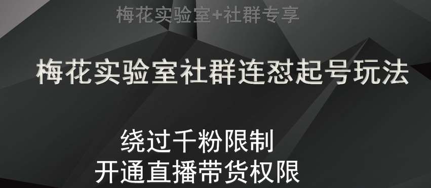 梅花实验室社群连怼起号玩法，视频号绕过千粉限制，开通直播带货权限【揭秘】-三石资源库