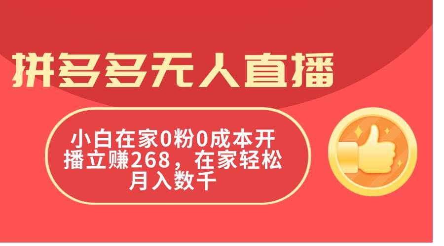 （11521期）拼多多无人直播，小白在家0粉0成本开播立赚268，在家轻松月入数千-三石资源库