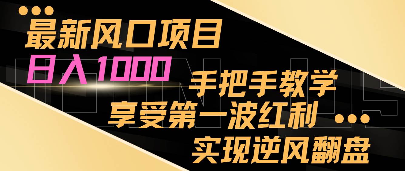 最新风口项目，日入1000，手把手教学，享受第一波红利，实现逆风翻盘-三石资源库