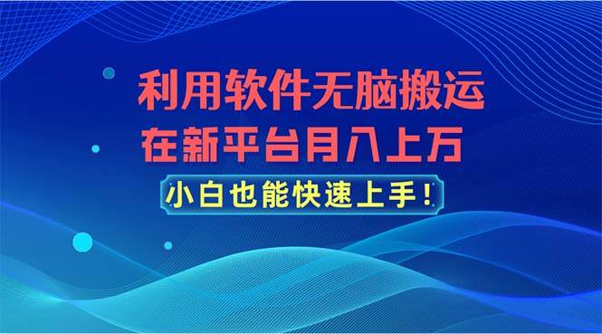 （11078期）利用软件无脑搬运，在新平台月入上万，小白也能快速上手-三石资源库