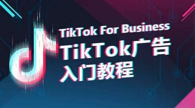 TikTok广告入门教程，从0到1掌握TikTok投放的全流程-三石资源库