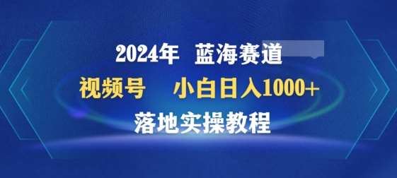 2024年视频号蓝海赛道百家讲坛，小白日入1000+，落地实操教程【揭秘】-三石资源库