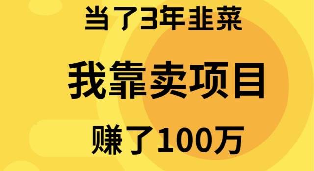 （9100期）当了3年韭菜，我靠卖项目赚了100万-三石资源库