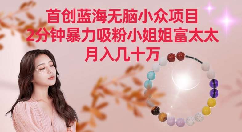 首创蓝海无脑小众项目，2分钟暴力吸粉小姐姐富太太，月入几十万【揭秘】-三石淘金网