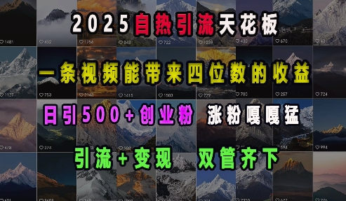2025自热引流天花板,一条视频能带来四位数的收益,引流+变现双管齐下,日引500+创业粉,涨粉嘎嘎猛-三石资源库