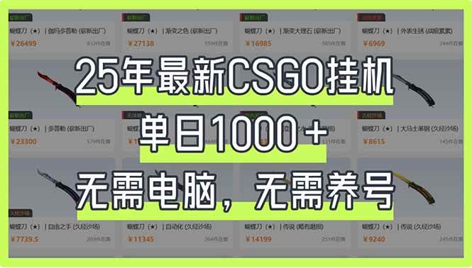 （14178期）25年最新CSGO挂机系统，单日1000+，无需电脑，无需养号，0基础可上手-三石资源库
