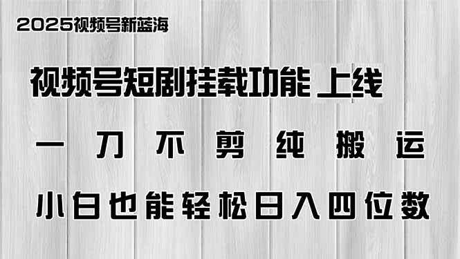 （14310期）视频号短剧挂载功能上线，一刀不剪纯搬运，小白也能轻松日入四位数-三石资源库