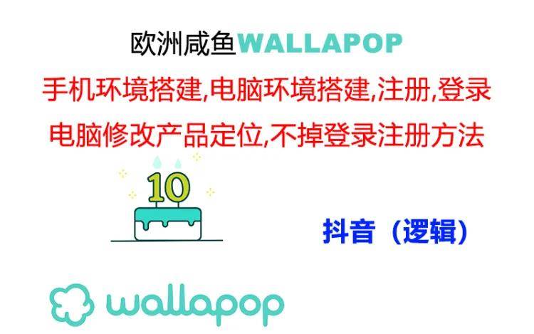 （11549期）wallapop整套详细闭环流程：最稳定封号率低的一个操作账号的办法-三石资源库