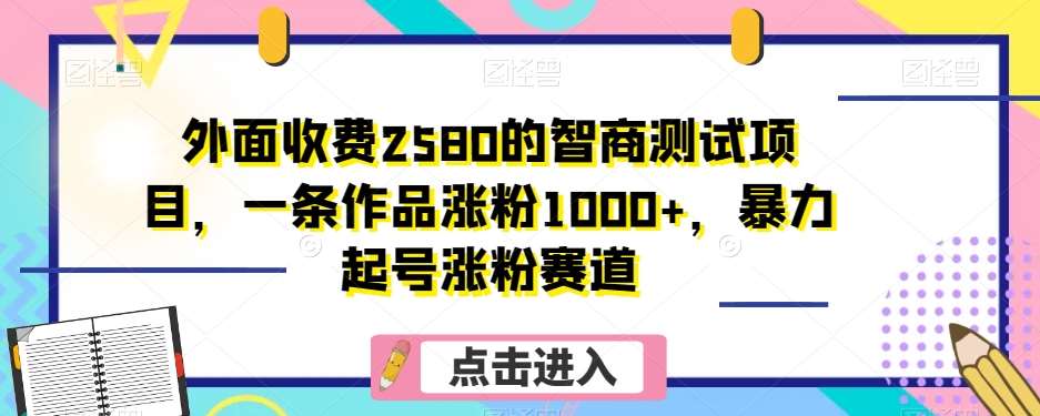 外面收费2580的智商测试项目，一条作品涨粉1000+，暴力起号涨粉赛道【揭秘】-三石资源库