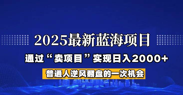 2025年蓝海项目，如何通过“网创项目”日入2000+-三石资源库