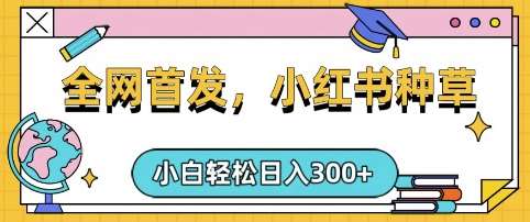 小红书种草，手机项目，日入3张，复制黏贴即可，可矩阵操作，动手不动脑【揭秘】-三石资源库