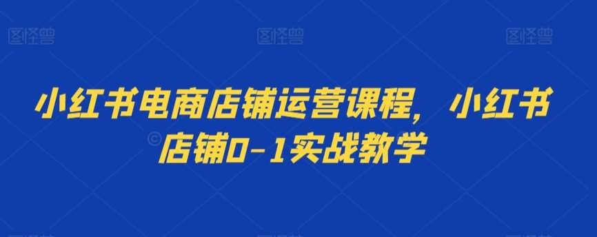 小红书电商店铺运营课程，小红书店铺0-1实战教学-三石淘金网