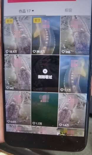 图片[2]-外面卖399的国学佛像原创暴力起号技术，快速起号，7天可达到一个万粉号-三石资源库