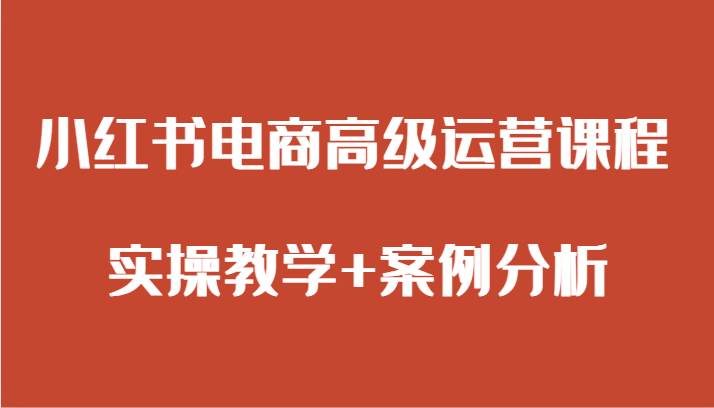小红书电商高级运营课程 实操教学+案例分析-三石资源库