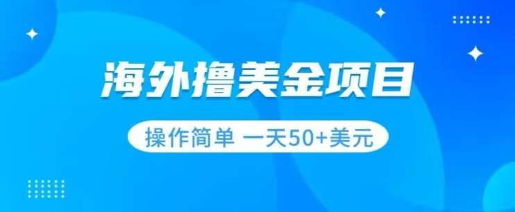 撸美金项目无门槛操作简单小白一天50+美刀-三石淘金网