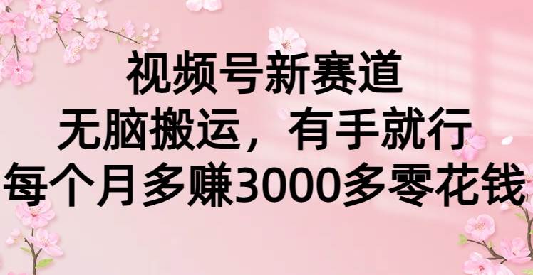 （9278期）视频号新赛道，无脑搬运，有手就行，每个月多赚3000多零花钱-三石资源库