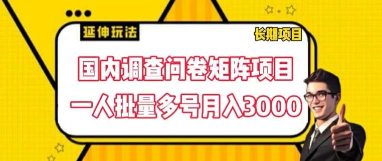 国内调查问卷矩阵项目，一人批量多号月入3000【揭秘】-三石资源库