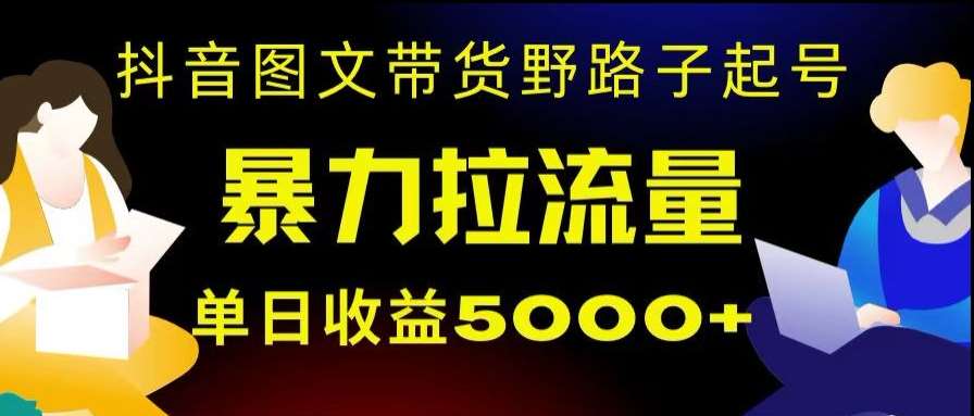 抖音图文带货暴力起号，单日收益5000+，野路子玩法，简单易上手，一部手机即可【揭秘】-三石资源库