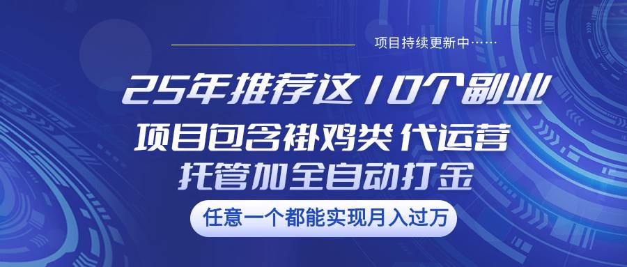 25年推荐这10个副业 项目包含褂鸡类、代运营托管类、全自动打金类-三石资源库