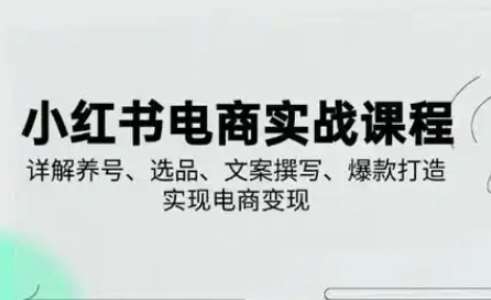 小红书从0-1实操课(2023-2025)，详解养号、选品、文案撰写、爆款打造实现电商变现-三石资源库