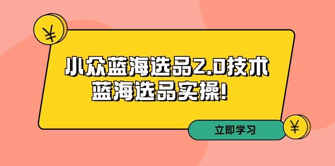 （9189期）拼多多培训第33期：小众蓝海选品2.0技术-蓝海选品实操！-三石资源库