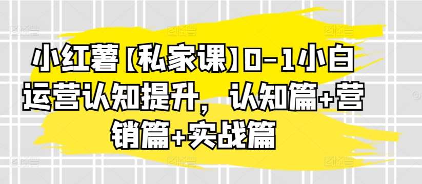小红薯【私家课】0-1小白运营认知提升，认知篇+营销篇+实战篇-三石淘金网
