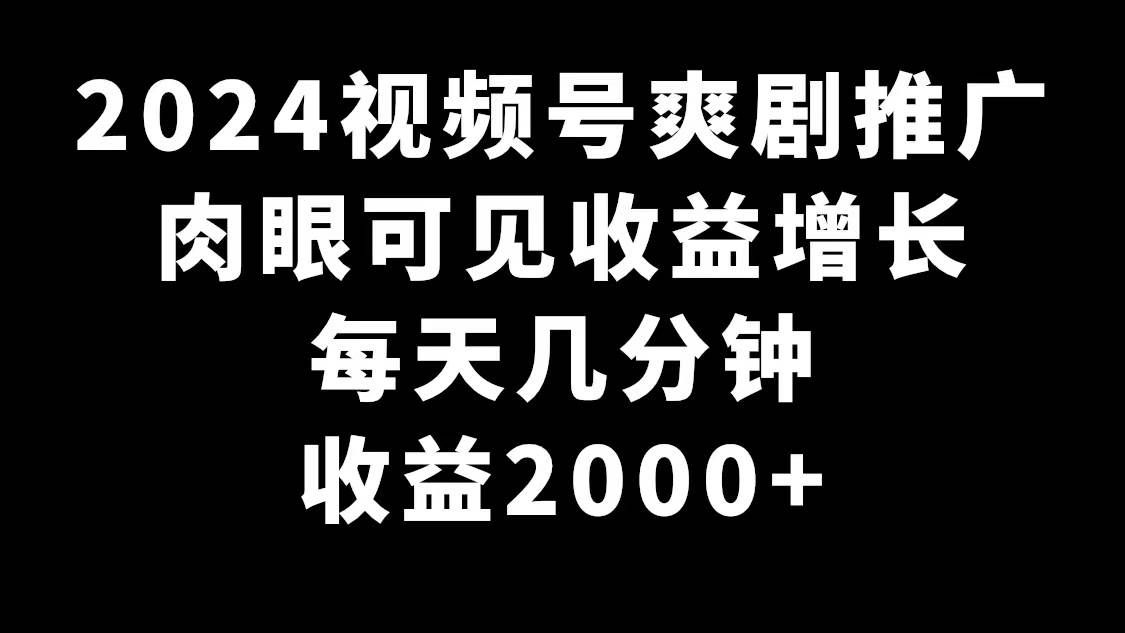 （9028期）2024视频号爽剧推广，肉眼可见的收益增长，每天几分钟收益2000+-三石资源库
