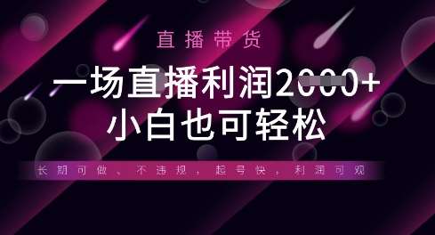 半无人直播带货，一场利润数张，适合所有平台玩法，小白也可轻松-三石资源库