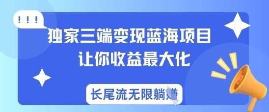 独家三端变现蓝海项目,让你收益最大化,长尾流无限躺挣-三石资源库