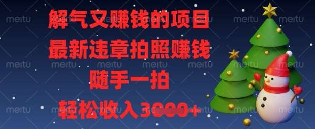解气又挣钱的项目，最新违章拍照挣钱，随手一拍，轻松收入数张【揭秘】-三石资源库