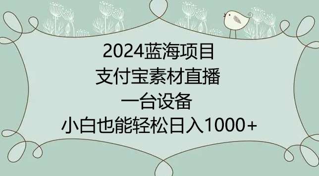 2024年蓝海项目，支付宝素材直播，无需出境，小白也能日入1000+ ，实操教程【揭秘】-三石资源库