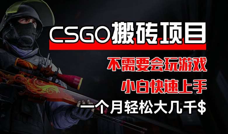 CSGO 装备搬砖项目，操作简单，不需要会玩游戏，小白也能快速上手，一个月轻松大几千【揭秘】-三石资源库