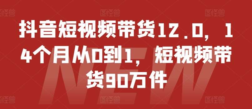 抖音短视频带货12.0，14个月从0到1，短视频带货90万件-三石资源库