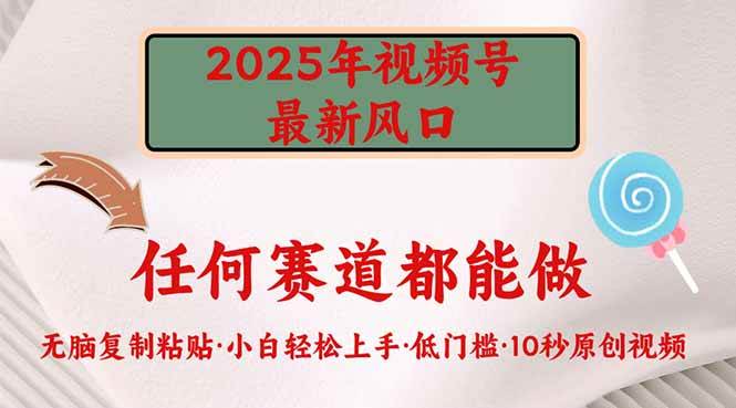 （14453期）2025年视频号新风口，低门槛只需要无脑执行-三石资源库